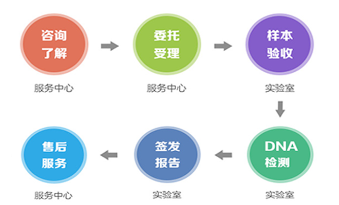 亲子鉴定流程表