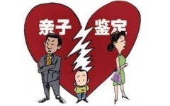 <b>亲权纷争盛行，亲子鉴定成解决关键</b>