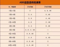 血型鉴定与亲子关系：血型不符时的解决方案