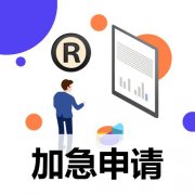 亲子鉴定真的能在6小时内出结果吗？速度与准确性的探讨