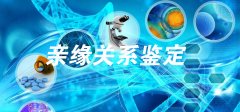 姑侄能做DNA鉴定吗？亲缘关系鉴定的科学解析