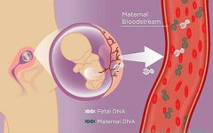 孕妇血液中的胎儿游离DNA：母胎间的神奇生物学联系