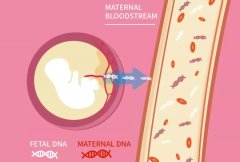 无创胎儿亲子鉴定技术升级：孕期5周即可精准判定