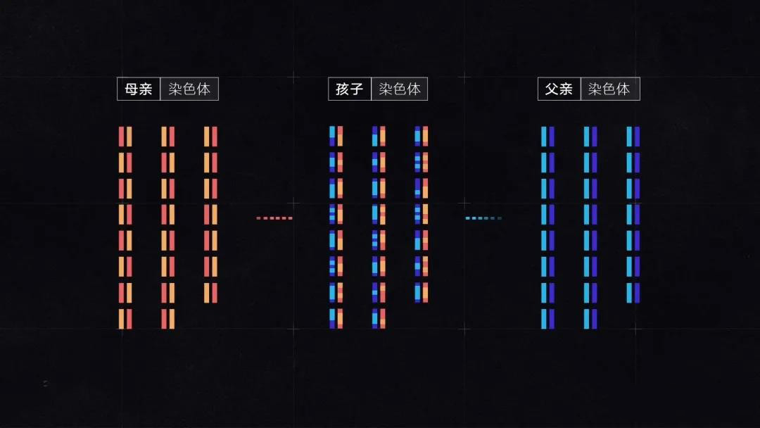 孩子与父母DNA不匹配的原因：突变、检测误差还是别的？