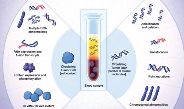 细胞游离DNA（cfDNA）：探索循环遗传信息的潜力