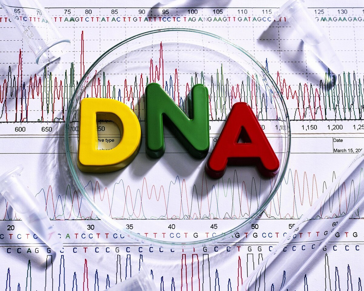 破解DNA密码：如何通过基因信息实现个体身份识别