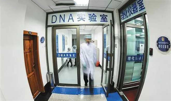 从指纹到基因：DNA识别如何改变我们的生活